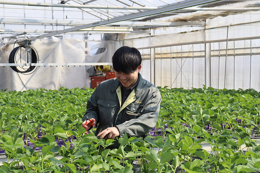 営農部　農産課