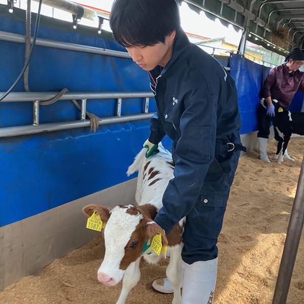 営農部　畜産課