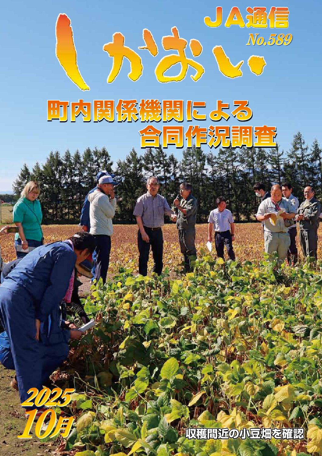 広報サムネイル