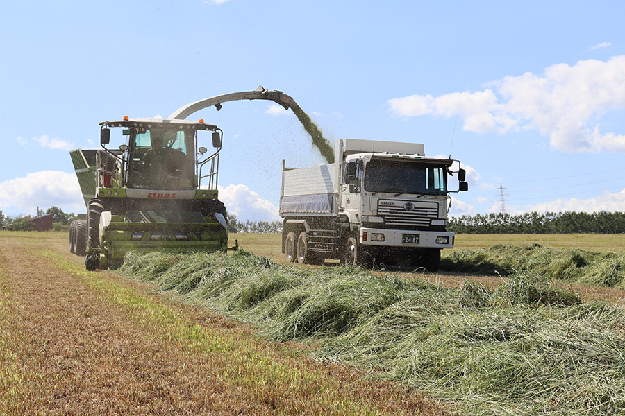 6月　１番牧草収穫
