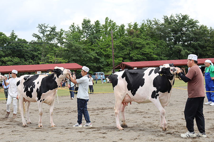 7月　デーリィフェスティバル